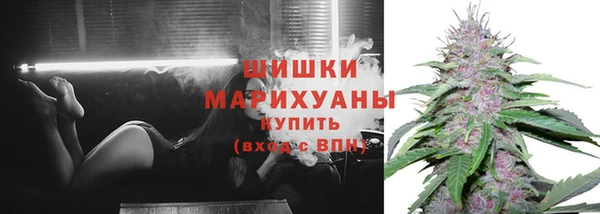 гашик Беломорск